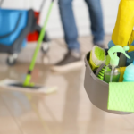 ЕВЕ КАКО ДОМАЌИНКИТЕ ВО СКАНДИНАВИЈА ЈА ЧИСТАТ КУЌАТА: Кога го прават ОВА, не чистат прашина ДВЕ НЕДЕЛИ, секоја жена во МАКЕДОНИЈА треба да ги научи нивните трикови