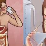 ЗА ЗДРАВ ЖИВОТ: Само една голтка и телото ќе ги исфрли сите токсини од телото