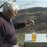 Има се повеќе вештачки мед: Професорот ја открива тајната како да препознаете природен производ