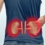 Ова се знаците дека бубрезите откажуваат: Еве кои се симптомите кои укажуваат на откажување на бубрезите