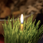 Етнологот ОТКРИВА: Што да правите со Божиќното жито по празниците, НИКОГАШ не смеете да го фрлите, може да ви донесе ЛОША СРЕЌА!