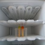 ЕВЕ КАКО ДА ГО СТОПИТЕ МРАЗОТ ЗА МНОГУ КРАТКО ВРЕМЕ: Ставете го ова внатре!