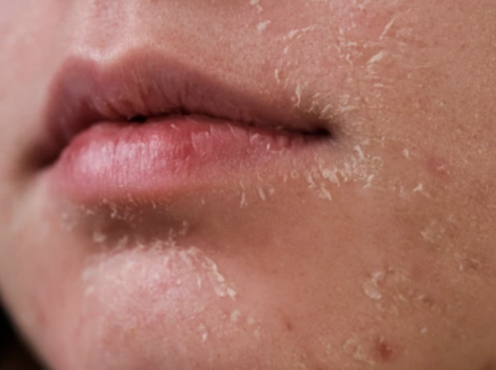 Screenshot 2023-02-19 at 10.46.09