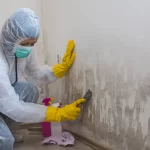 Ставете ја оваа НАМИРНИЦА на места каде што има влага и никогаш повеќе нема да имате проблем со мувла!