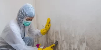 Ставете ја оваа НАМИРНИЦА на места каде што има влага и никогаш повеќе нема да имате проблем со мувла!