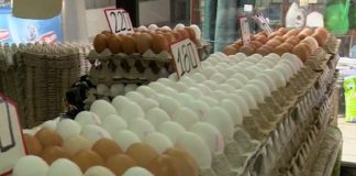 НЕ КУПУВАЈТЕ ГИ ОВИЕ ЈАЈЦА! Се продаваат на ПАЗАРИТЕ, А НЕ СЕ БЕЗБЕДНИ – ризикувате да добиете СЕРИЗНА ИНФЕКЦИЈА