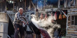 СЕКОЕ МАКЕДОНСКО ДОМАЌИНСТВО ТРЕБА ДА ЗНАЕ ДА ПЕЧИ РАКИЈА: Велат дека не постои болест што не може да ја излечи ОВАЈ НАПИТОК (РЕЦЕПТ)