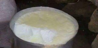 Во ПРОДАВНИЦА е прескапа, а ви требаат само 2 состојки: НАПРАВЕТЕ МОЦАРЕЛА ДОМА!