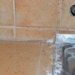 МРАВКИТЕ ЌЕ ПОБЕГАТ ОД ВАШАТА КУЌА ЗА 2 СЕКУНДИ: Измешајте ги овие состојки и СПАСЕТЕ СЕ, ТРИК КОЈ ДОКАЖАНО ДЕЛУВА!