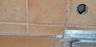 МРАВКИТЕ ЌЕ ПОБЕГАТ ОД ВАШАТА КУЌА ЗА 2 СЕКУНДИ: Измешајте ги овие состојки и СПАСЕТЕ СЕ, ТРИК КОЈ ДОКАЖАНО ДЕЛУВА!