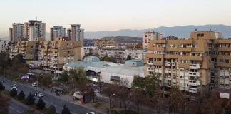 Пет растенија што можете да ги засадите ако вашата тераса е во сенка: Ја сакаат сенката
