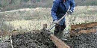 НУДИ САТНИЦА ОД 500 ДЕНАРИ, А РАБОТНИЦИ НЕМА: Луѓето се шокирани што никој не се пријавува, еве ЗА КОЈА РАБОТА СЕ РАБОТИ