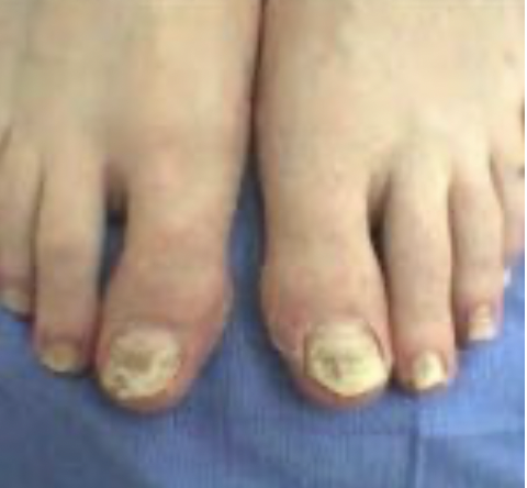 Screenshot 2023-04-22 at 10.03.45