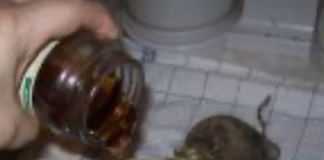 Ќерка ми успеав да ја спасам од астма со ОВИЕ ДВЕ РАБОТИ и веќе 20 години не е астматичар!