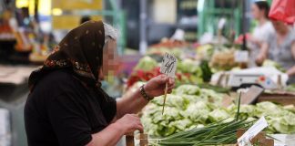 Изгледа како трева, на пазарот чини 1.000 динари за килограм: Македонците ја одгледуваат за голем профит – Лиснатиот зеленчук е се попопуларен!