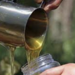 Најценетите женски лековити билки: Помагаат при неплодност, полицистични јајници, нередовни циклуси