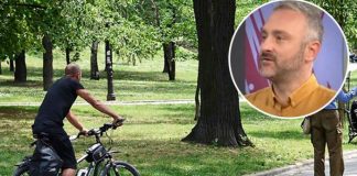 РАСТЕ ВО СЕКОЈ ПАРК, И Е ЧУДО ЗА ВЕНИТЕ: Дивото растение ги стеснува проширените крвни садови и го намалува отокот