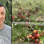 Дејан и неговата сопруга создадоа совршен бизнис кој ќе им обезбеди 15 години убав живот! И тогаш сè беше збришано за 15 минути