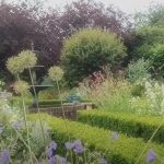 НЕ ГИ САДЕТЕ ОВИЕ ДРВА ВО ВАШИОТ ДВОР ПОД НИКАКВИ ОКОЛНОСТИ! Тоа само создава проблеми и осите постојано се ројат!