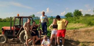Семејство Лазареви ги подаруваат бесплатно пиперките што не можат да ги продадат: Досега донирале околу половина тон