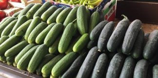 ЖЕНА СЕКОЈА НЕДЕЛА КУПУВАЛА ПО 100 КРАСТАВЦИ, ГАЗДАТА И ЗАБРАНИ ДА КУПУВА: КОГА ЈА ПРАШАЛЕ ЗОШТО И СЕ: СИТЕ ОСТАНАА БЕЗ ЗБОРОВИ