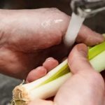 Многумина на погрешен начин гo чистат овај зеленчук: ДАЛИ СТЕ МЕЃУ НИВ?