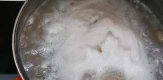 ОД СЕГА ВОДАТА ВО КОЈА СTЕ ГОТВЕЛЕ ГРАВОТ ЌЕ ЈА ЧУВАТЕ КАКО ОЧИ ВО ГЛАВА: Еве кои се КОРИСНИ работи што можете да ги направите со неа!