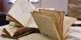 Дали знаете кој е единствениот МАКЕДОНСКИ збор општо прифатен на сите светски јазици?