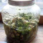 Овој лек за штитната жлезда сите го имаме дома, а не сме ни свесни за неговата лековитост