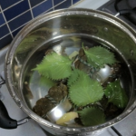 ЗЛАТЕН ЧАЈ: Вистински дар од Бога, го регулира шеќерот, спречува рак, стимулира раст на коса