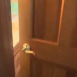 Задолжително затворете ја вратата од спалната соба кога одите на спиење: Причината не е нималку наивна, ќе си го спасите животот