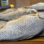 Експертите тврдат дека ова е најздравата риба на светот: Подобра е од лосос, а десет пати поевтина