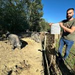 Ѓорѓи го замени фудбалското игралиште со фарма: Решил да ги фрли копачките и да одгледува свињи!