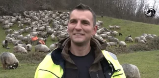 Млад овчар ја напуштил ДАНСКА и се вратил во родното село: „Ќе ви кажам зошто оставив сè зад себе“ (ВИДЕО)