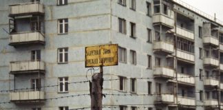 Што се случува во Чернобил: 180 луѓе решиле да се вратат, но не очекувале дека животните ќе се однесуваат вака