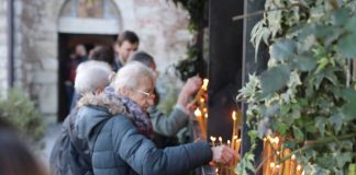 Денес, во зори, мора да го внесете ова растение во куќата! Строгиот обичај вели дека никогаш не смеете да …
