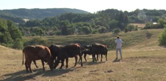 Александра и Милан имаат дури 11 деца: Се вратија од Русија во село во близина на Ужице – нивниот дом е полн со живот!