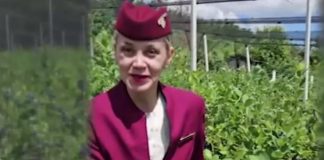 Искуство на Македонки кои работат како стјуардеси – колку е побела кожата, толку е поголема платата
