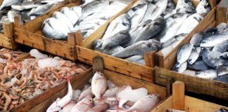 И лице кое не се разбира во риба може да провери дали е свежа: 3 показатели веднаш откриваат колку време поминало од уловот